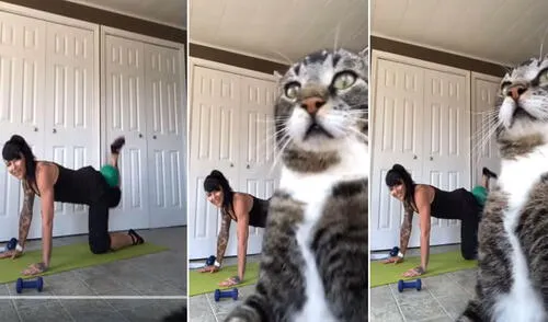 Desliza las imágenes para conocer más detalles sobre este gracioso episodio. Foto: captura de YouTube