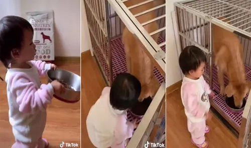 Desliza hacia la izquierda para ver más imágenes sobre esta escena que ya es viral en redes sociales. Foto: captura de TikTok