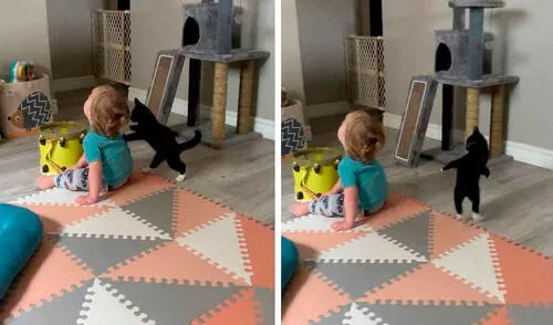 Desliza las imágenes para apreciar la curiosa acción de un gato al notar la presencia del menor hijo de su dueña. Foto: Caters Clips