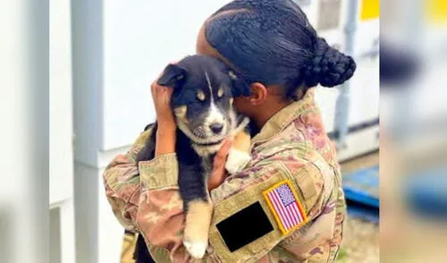 Desliza hacia la izquierda para ver más imágenes de esta emotiva historia. Foto: Guardians of Rescue / Facebook