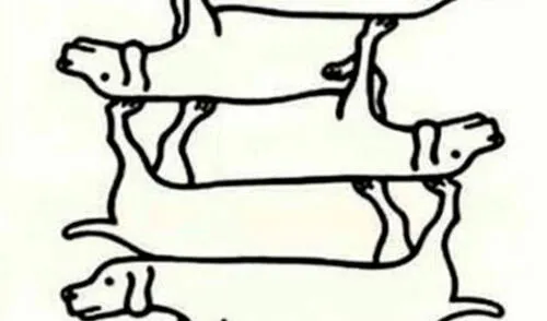 Desliza las imágenes para enterarte sobre la respuesta correcta de este reto visual que casi nadie consiguió superar. Foto: Milenio Desliza las imágenes para enterarte sobre la respuesta correcta de este reto visual que casi nadie consiguió superar. Foto: Milenio