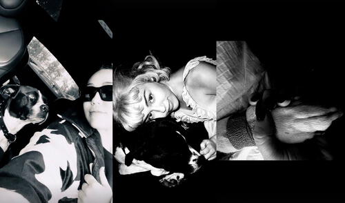 Miley Cyrus expresó toda la tristeza que siente por la muerte de su mascota Mery Jane en una canción que compuso en su honor. Foto: Miley Cyrus Instagram