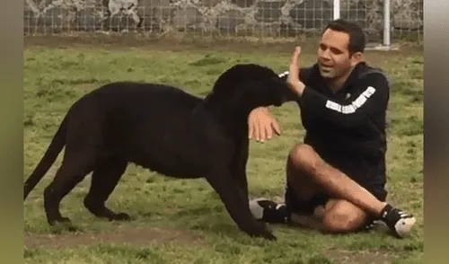 El video ha sido compartido en la página Black Jaguar While Tiger. Foto: captura de Facebook.