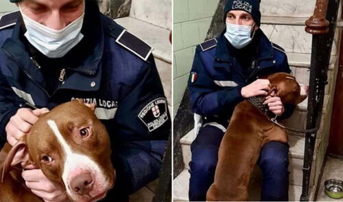 El oficial se sentó a su lado y lo primero que hizo fue acariciarlo, abrazarlo y tratar de darle consuelo ante el aparente maltrato que había sufrido. Foto: Genova Today El oficial se sentó a su lado y lo primero que hizo fue acariciarlo, abrazarlo y tratar de darle consuelo ante el aparente maltrato que había sufrido. Foto: Genova Today