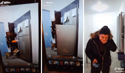 De esta manera se las arreglaba para comer lo que no debía. Foto: captura de TikTok / @lalobadillo_ De esta manera se las arreglaba para comer lo que no debía. Foto: captura de TikTok / @lalobadillo_