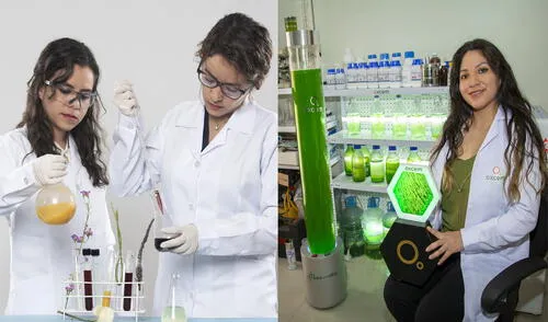 Emprendedoras marcan tendencia con innovaciones. Foto: Le Qara/OXCEM. Emprendedoras marcan tendencia con innovaciones. Foto: Le Qara/OXCEM.