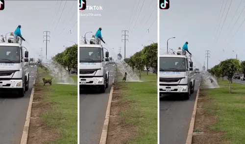 El perro no desaprovechó el momento para darse un chapuzón con el agua del camión cisterna. Foto: captura de TikTok El perro no desaprovechó el momento para darse un chapuzón con el agua del camión cisterna. Foto: captura de TikTok
