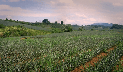 Historias ya están disponibles en las redes sociales. Foto: Mamut Art