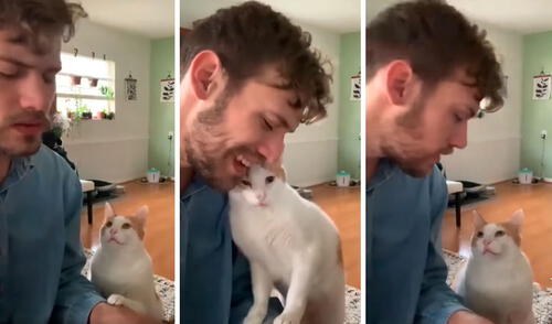 Un gato estuvo atento al improvisado espectáculo de canto que hizo su dueño en el interior de su casa. Foto: captura de TikTok