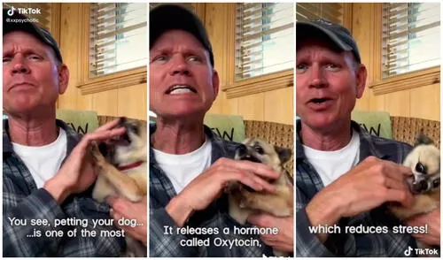 El can no quería que lo toquen y su reacción se volvió viral en TikTok. Foto: captura de TikTok