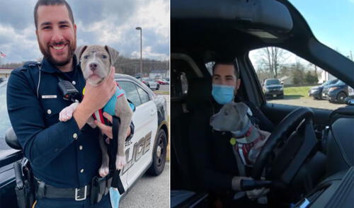 El pequeño Thor ahora cuenta con un nuevo hogar gracias al noble policía. Foto: Mount Laurel Police Department / Facebook