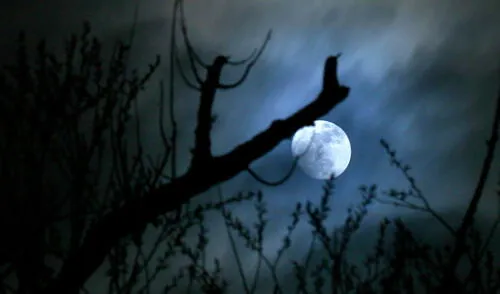 Un equipo de científicos encontró relación entre la luna llena y los hábitos de sueño en las personas. Foto: NASA