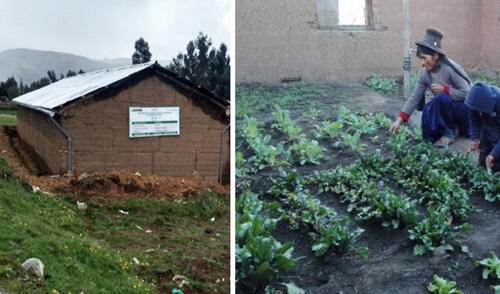 Proyecto fue promovido por el Ministerio de Desarrollo Agrario y Riego. Foto: difusión
