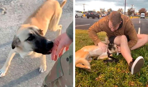 Un joven militar se encariñó con un perro abandonado; sin embargo, tuvo que dejarlo al regresar a su casa. Foto: Caters Clips Un joven militar se encariñó con un perro abandonado; sin embargo, tuvo que dejarlo al regresar a su casa. Foto: Caters Clips