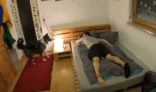 El video ha sido compartido en el canal Rumble Viral. Foto: captura de YouTube
