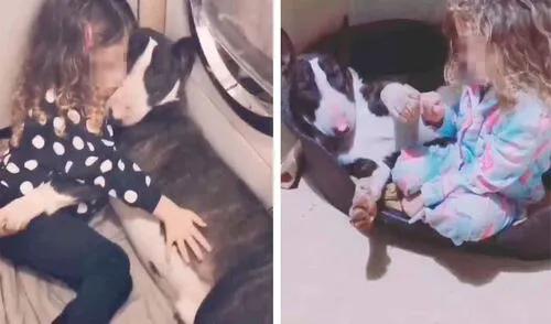 Una pequeña se encariñó con su nueva mascota desde el primer momento en que lo vio y no se despega de su lado. Foto: Caters Clips Una pequeña se encariñó con su nueva mascota desde el primer momento en que lo vio y no se despega de su lado. Foto: Caters Clips