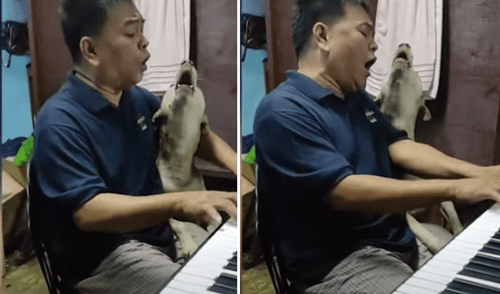 El video ha sido compartido en el canal Viral Press. Foto: captura de YouTube