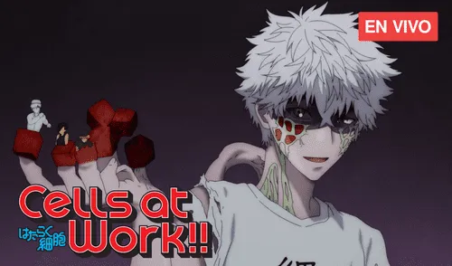 No te pierdas un nuevo capítulo de Hataraku Saibou 2. Foto: Aniplex No te pierdas un nuevo capítulo de Hataraku Saibou 2. Foto: Aniplex