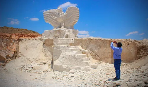 Cóndor andino acompañado de un zorro tendrá un peso de 13 toneladas. Foto: GRA Cóndor andino acompañado de un zorro tendrá un peso de 13 toneladas. Foto: GRA