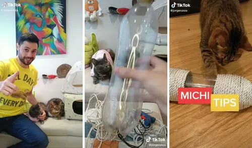 Así se ve el juguete para gatitos creado por Jorge Runza. Foto: captura de TikTok / @jorgerunza