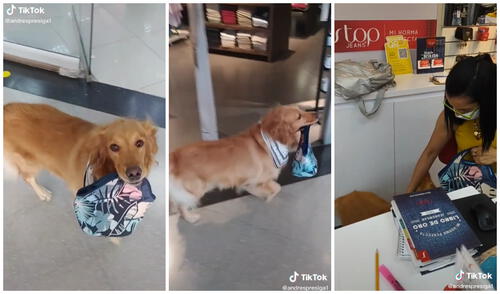 Millones de usuarios han visto el video protagonizado por Kira. Foto: captura de TikTok (@andrespresiga1)