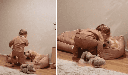 La pequeña y el cachorro se han convertido en compañeros inseparables. Foto: captura de TikTok