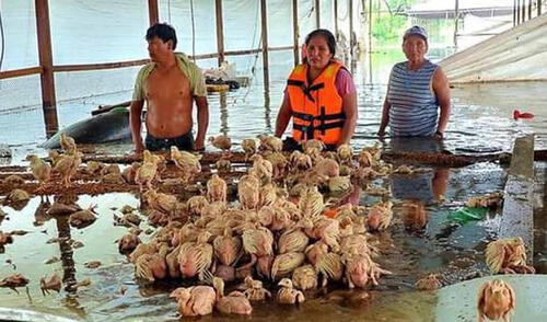 Damnificados son enviados a colegios de la región, donde se han instalado albergues. Foto: GORE Madre de Dios
