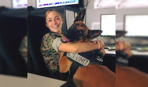 Esta tierna historia ha conmovido a miles de usuarios en las redes sociales. Foto: American Humane / Facebook Esta tierna historia ha conmovido a miles de usuarios en las redes sociales. Foto: American Humane / Facebook
