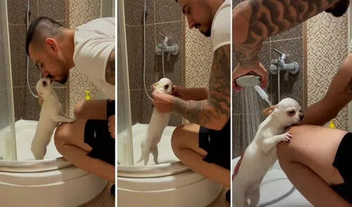 La cachorra se mostró bastante tranquila y contenta mientras su dueño la bañaba en la ducha. Foto: captura de TikTok La cachorra se mostró bastante tranquila y contenta mientras su dueño la bañaba en la ducha. Foto: captura de TikTok