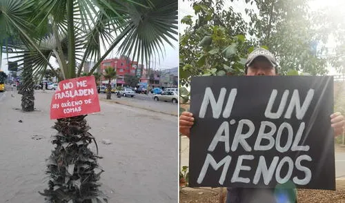 Vecinos colocaron carteles para mostrar su disconformidad. Foto: Defendamos el Parque Zonal Sinchi Roca/Facebook Vecinos colocaron carteles para mostrar su disconformidad. Foto: Defendamos el Parque Zonal Sinchi Roca/Facebook