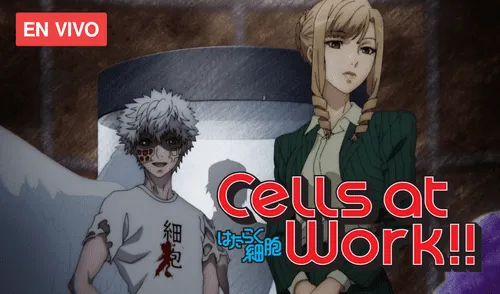 No te pierdas un nuevo capítulo de Hataraku Saibou 2. Foto: Aniplex No te pierdas un nuevo capítulo de Hataraku Saibou 2. Foto: Aniplex