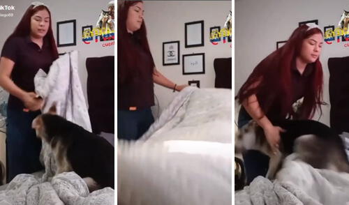 La dueña y su perrito, en plena disputa por la cama. Foto: captura de TikTok / @pitodiego