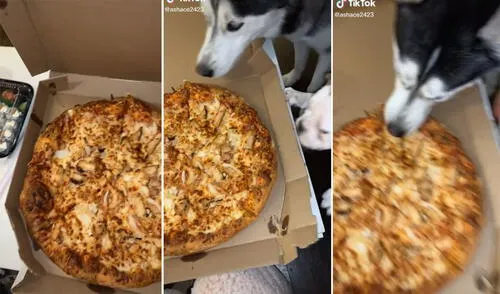 Estas imágenes han hecho reír a casi 2 millones de usuarios en la red. Foto: captura de TikTok