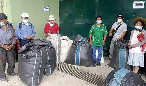Cocaleros sin ingresos. Cocaleros sin ingresos.