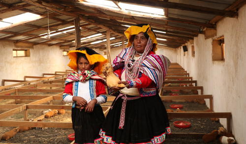 Día Internacional de la Mujer. Foto: Arariwa, Cusco Día Internacional de la Mujer. Foto: Arariwa, Cusco