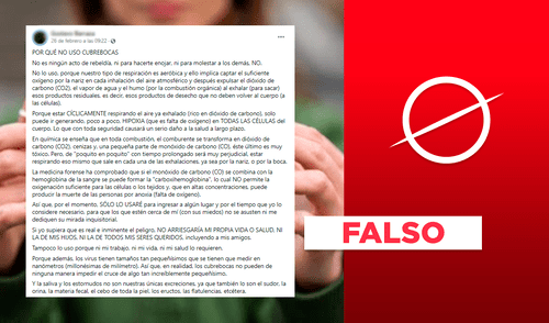 No, las mascarillas no provocan carboxihemoglobina ni los virus se esparcen a través de los poros. Foto: composición LR No, las mascarillas no provocan carboxihemoglobina ni los virus se esparcen a través de los poros. Foto: composición LR