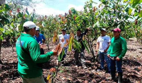 Familias se verán beneficiadas y podrán reactivar su economía. Foto: difusión