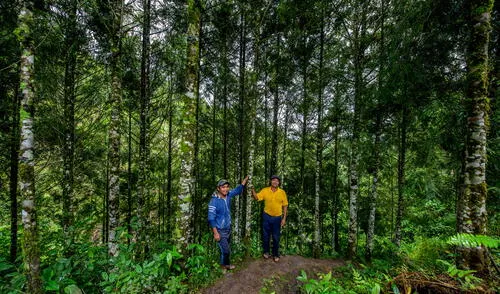 El Plan Maestro constituye el primer documento de planificación del ACR para un periodo de 5 años. Foto: NCI-Michell León