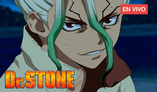 No te pierdas un nuevo episodio de Dr. Stone. Foto: Weekly Shonen Jump