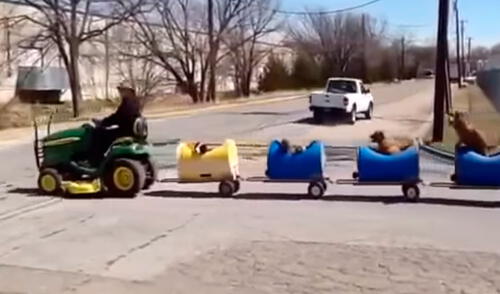 Todos los días, un anciano sale a recorrer su vecindario a bordo de un tren que fabricó en su casa y siempre está acompañado de sus queridas mascotas. Foto: captura de Facebook