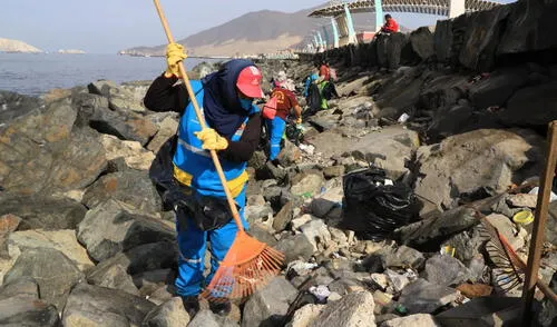 Residuos sólidos fueron llevados a las celdas transitorias de Pampa La Carbonera. Foto: MPS