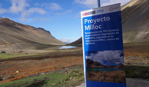 Proyecto creará 12 mil jornales, ayudando en la economía de la comunidad. Foto: Sedapal