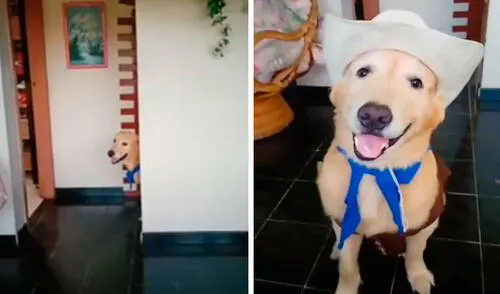 Un perro obedeció todas las indicaciones y lució un traje de vaquero para ‘interpretar’ a Woody al lado de su dueña. Foto: captura de Facebook