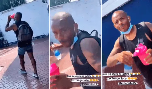 Alianza Lima enfrentará este martes 30 de marzo a Cusco FC por la fecha 3 de la Liga 1. Foto: composición de La República