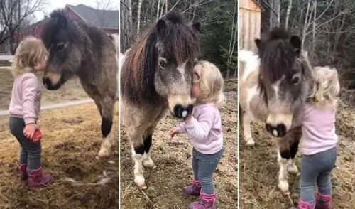 El emotivo momento logró conmover a más de uno en las redes sociales. Foto: captura de YouTube El emotivo momento logró conmover a más de uno en las redes sociales. Foto: captura de YouTube