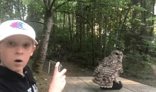 El niño se mostró sorprendido por la inusual situación. Foto: captura de YouTube El niño se mostró sorprendido por la inusual situación. Foto: captura de YouTube