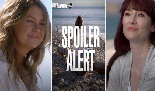 Fans esperaban ver solo a Lexie Grey, pero serie guardaba una sorpresa más. Foto: ABC