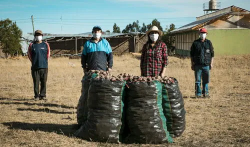 Se cofinanciaron 145 planes de negocio. Foto: Agroideas.