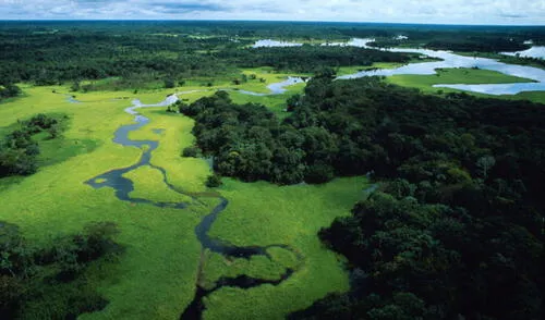 Afluente del río Amazonas en la selva que lleva el mismo nombre. Foto: WWF