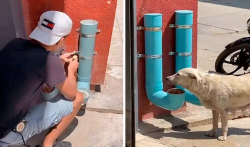 Con materiales de reciclaje, un muchacho puso en marcha un generoso plan para alimentar a los animales que deambulan por las calles. Foto: captura de TikTok Con materiales de reciclaje, un muchacho puso en marcha un generoso plan para alimentar a los animales que deambulan por las calles. Foto: captura de TikTok